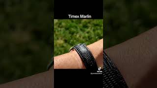 Timex Marlin Epic roots [upl. by Zsa389]