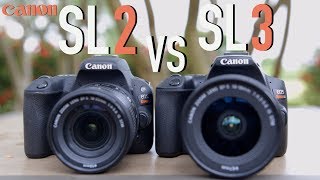 Canon SL2 200D vs Canon SL3 250D [upl. by Lally871]