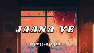 JAANA VE Slowed×Reverb  Aksar 2  Arijit Singh  feel 4 u [upl. by Oicul487]