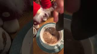 day25 of making chocolate milk christmas shorts icecream [upl. by Jegar771]