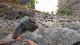 The Narrows Zion National Park Finally some sun [upl. by Dal]