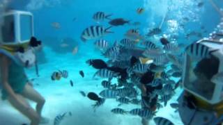 Le Meridien Resort Bora Bora Aqua Safari GoPro [upl. by Leo]