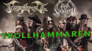 Finntroll  Trollhammaren Instrumental Cover [upl. by Anerbas]