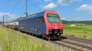 SBB CFF FFS Re 450 017  Re 450 053 com S9  Eglisau [upl. by Brena]