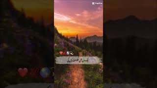 Ya Hussain shorts fypシ゚viraltrend islamicshorts ytshorts newtrending shortsfeed [upl. by Ayanej]