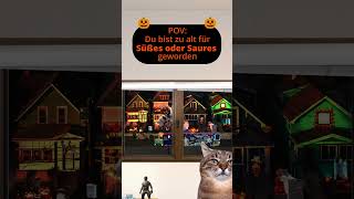 PoV Du bist zu alt für Halloween geworden Katzenvideos zocken katze halloween shorts [upl. by Anikehs528]