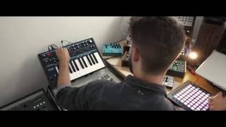 Novation  Launchpad Pro  Scale Mode [upl. by Heber]