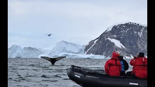 ANTÁRTIDA viaje vlog  Episodio 5  DESCUBRIENDO LA FAUNA SALVAJE  NO HAY PLANETA B  tado° [upl. by Ardnoyek]