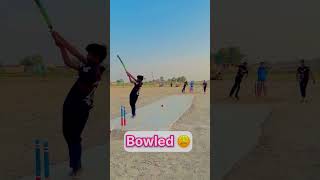 Clean Bold wicket 🥀🏏 cricket cricketlover cricketlover332 [upl. by Tnahsarp163]