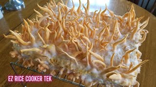 HOW TO GROW CORDYCEPS MUSHROOMS Tips and Tricks from Start to Finish Cordyceps militaris [upl. by Earehs]