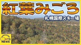 「３６０度紅葉が広がって」札幌国際スキー場 紅葉狩りはゴンドラに乗って 紅葉のピークはこれから [upl. by Ainar570]