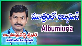 Albumin in Urine Treatment in Telugu l మూత్రంలో అల్బుమిన్ l Homeopathy l Dr Pavushetty Sreedhar [upl. by Ilarrold754]