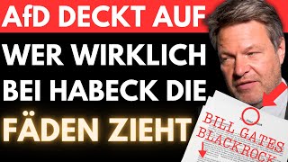 AfD reißt die GRÜNE MASKE runter 🚨 Von Storch enthüllt das DUNKLE NETZWERK hinter HABECK [upl. by Aehta]