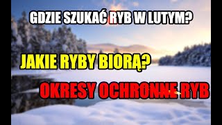 Gdzie Szukać Ryb w Lutym [upl. by Rehm804]