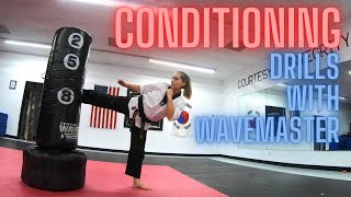 Taekwondo Conditioning Drills with Wavemaster [upl. by Sedruol698]