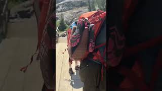 4K Runoff from Glacier Trail Torrey Creekhikevibes wyoming travel youtubeshorts outdoors [upl. by Aisekal]