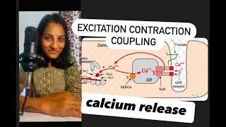 Excitation Contraction coupling I Ca Release I Nerve Muscle Physiology I Phase 1 MBBS Professional [upl. by Clay]