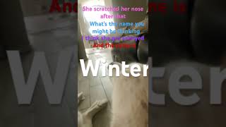 dog funny winter is CUTE ￼￼￼ [upl. by Shirleen]