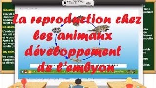 la reproduction chez les animaux  développement de lembryon [upl. by Anatniuq]