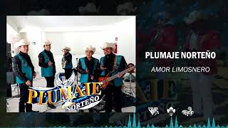 Plumaje Norteño  Amor Limosnero 2021 [upl. by Jarlath]