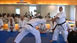 Nariyama Shihan  Teaching 6 Hiji Waza of 19 Kihon [upl. by Arahk]