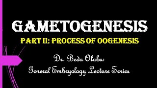 GAMETOGENESIS PART II  THE PROCESS OF OOGENESIS [upl. by Lauder601]