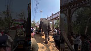 Uthralikavu Pooram ulsavam [upl. by Ayotac]