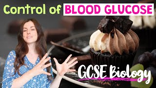 CONTROL OF BLOOD GLUCOSE GCSE Biology 91  Combined Revision amp Qs [upl. by Nileek]