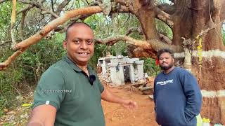 800 years old Hoysala temple ruins in Mysuru Mathrushree Residential Layout Mysore tourism Karnataka [upl. by Alleciram]