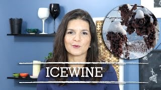 Icewine  Eiswein O vinho do gelo  Marcia Anholeti [upl. by Ayikat]