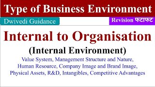 Type of Business Environment types of environment Internal environment external environment [upl. by Herrod256]