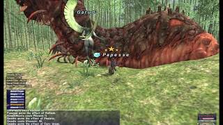 FFXI Onychophora SMN solo with trusts [upl. by Ellehciram899]