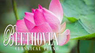 Beethoven  11 Bagatelles op 119 no 1 [upl. by Morly753]