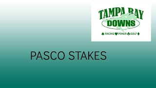 Análisis del Pasco Stakes 2024 [upl. by Leeke]