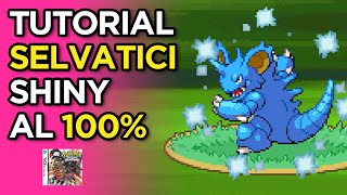 Pokémon Selvatici SHINY GARANTITI  Pokémon Platino RNG [upl. by Odrareg449]