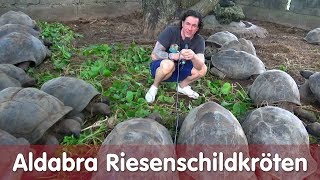 Reptil TV  Folge 113 – Aldabra Riesenschildkröten – Seychellen 2018 [upl. by Tama]