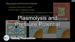 Plasmolysis and Pressure Potential Biology Lecture  Sabaqpk [upl. by Blaine865]