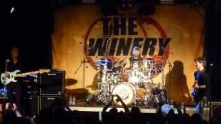 The Winery Dogs  Fooled Around And Fell In Love  Desire 2013 [upl. by Nosak]