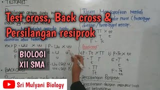 POLAPOLA HEREDITAS part 2 testcross backross dan persilangan resiprok Biologi XII SMA [upl. by Paderna761]