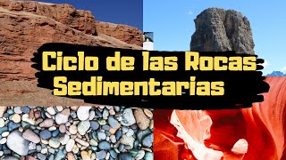 CICLO SEDIMENTARIO meteorización erosión transporte y sedimentación Rocas Sedimentarias GEOLOGIA [upl. by Hnah726]