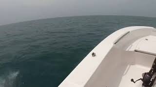 Robalo r160 20 miles out off cape canaveral [upl. by Inoue658]