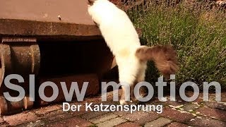 Katzensprung stones throw SLOW MOTION [upl. by Tteirrah200]