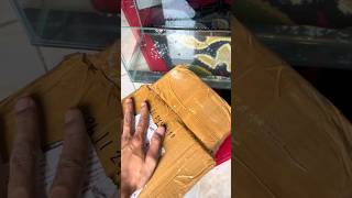 Unboxing channa limbata beli di online 2 pair wc channa limbata [upl. by Kym]