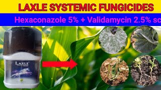 Laxle systemic fungicideshexaconazole 5  validamycin 25 sc  full information [upl. by Anattar]