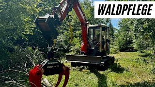 Waldpflege Laubwald ausdünnen mit Husqvarna 550xp und Kubota Bagger mit Krpan Holzzange [upl. by Eelrihs]