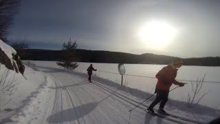 CrossCountry Skiing in Gatineau Park [upl. by Lelah]