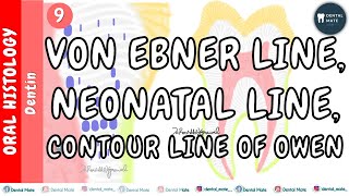 Incremental lines of von Ebner  Contour lines of Owen  Neonatal lines of dentin  Dr Paridhi [upl. by Lyrahc]