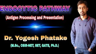 Endocytic Pathway Antigen processing and presentation Explained by Dr Yogesh [upl. by Revned]