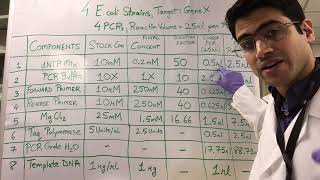 How To PCR Calculations [upl. by Trinia]