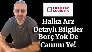 Horoz Lojistik Halka Arz Detaylı Bilgiler Borç Yok Karlılık Güzel [upl. by Aihseuqram]